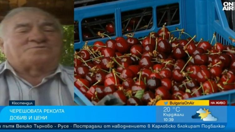 Снимка: Bulgaria ON AIR