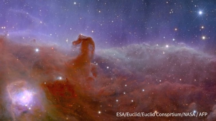 Снимка: AFP News Agency, X