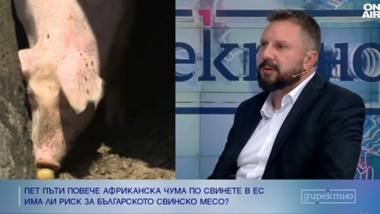 Снимка: Bulgaria ON AIR