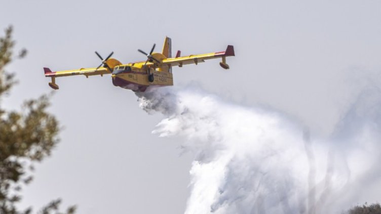 Снимка: архив, БГНЕС