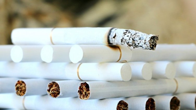 Снимка: Pixabay