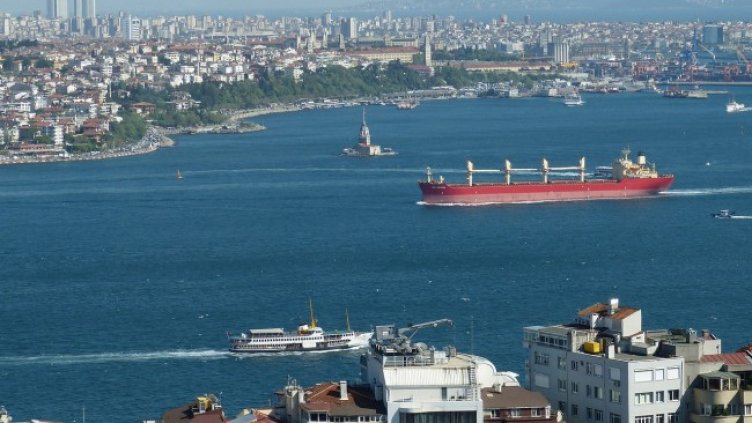 Снимка: falco от Pixabay