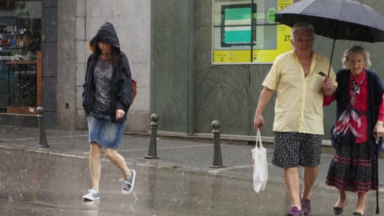 Снимка БГНЕС, архив