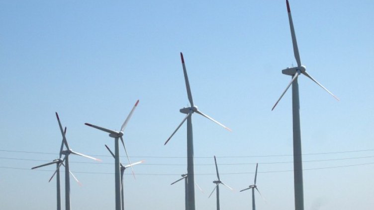 Снимка: БГНЕС, архив