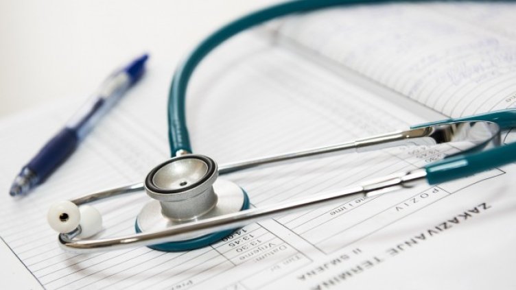 Снимка: Darko Stojanovic от Pixabay