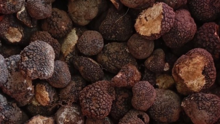 Снимка: Агенция "Митници"