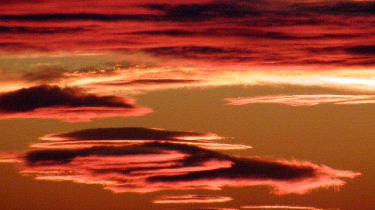 Снимка БГНЕС, архив