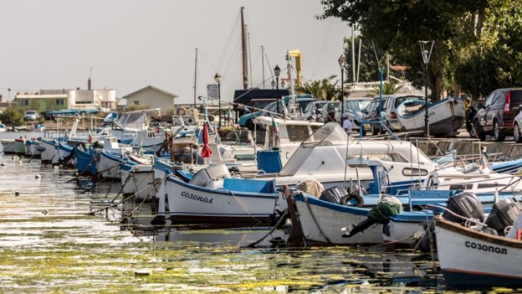 Снимка: Christo Anestev от Pixabay