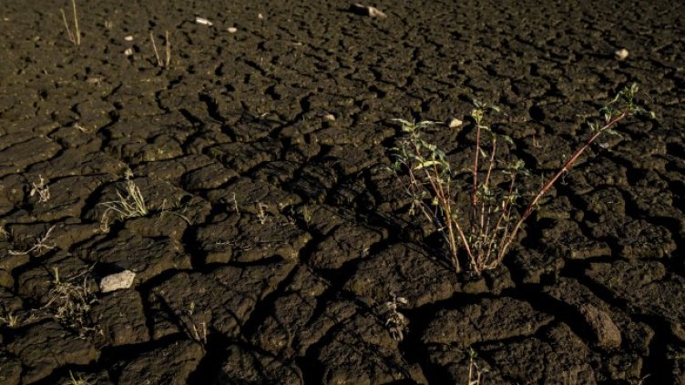 Снимка: БГНЕС, архив