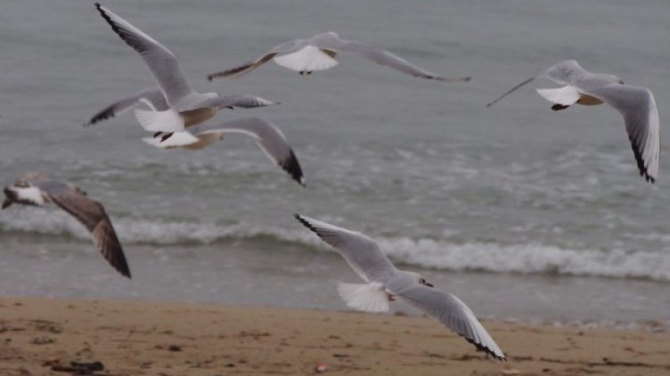 Снимка БГНЕС