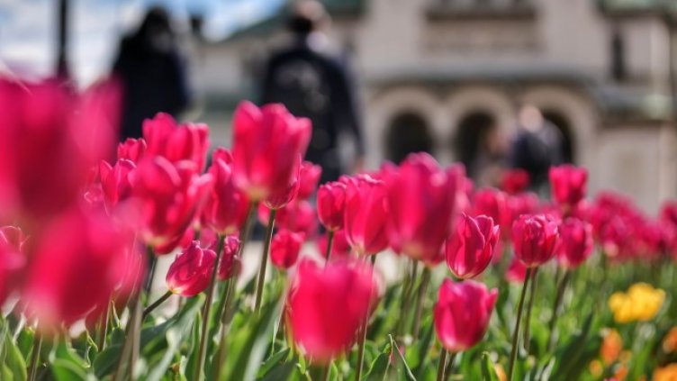 Снимка: Димитър Кьосемарлиев, Dnes.bg