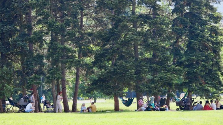 Снимка: архив, БГНЕС