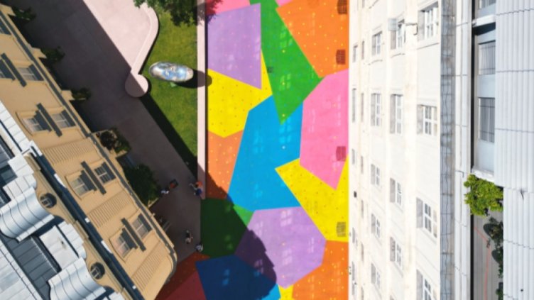 Снимка: hortencollection.com