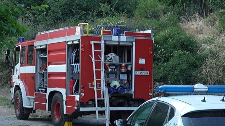 Снимка: архив, БГНЕС