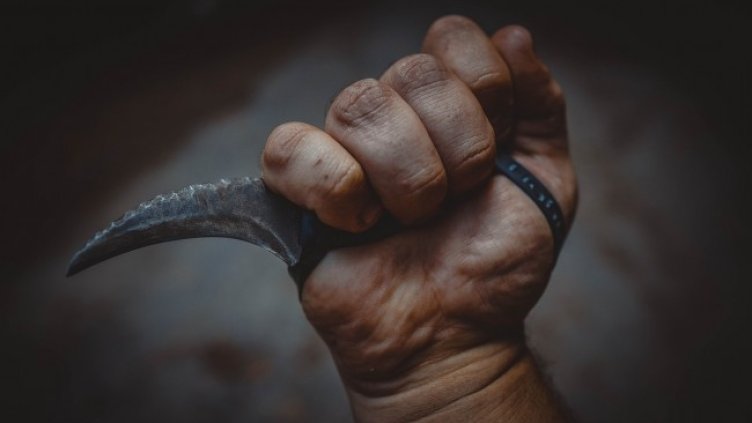 Снимка: Pixabay/Mikewildadventure