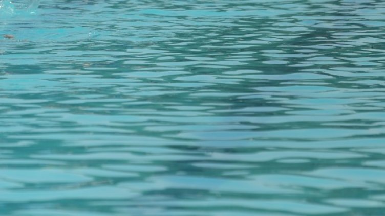 Снимка: архив, БГНЕС