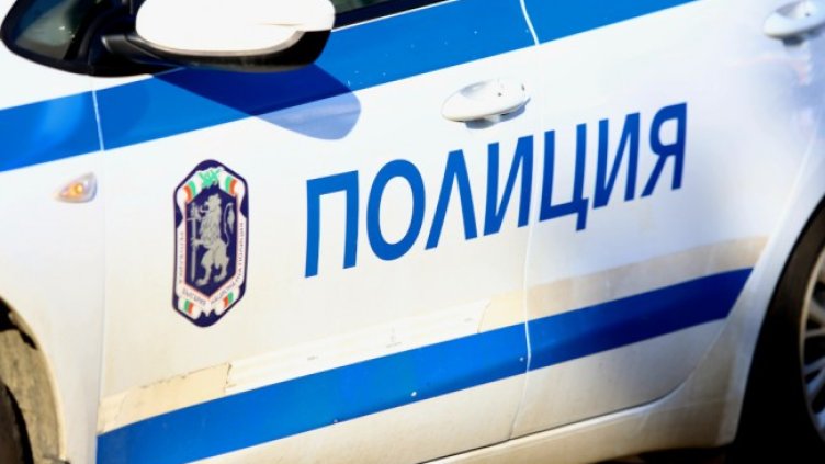 Снимка: архив, БГНЕС