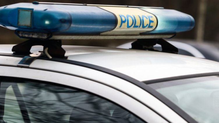 Снимка: архив, БГНЕС