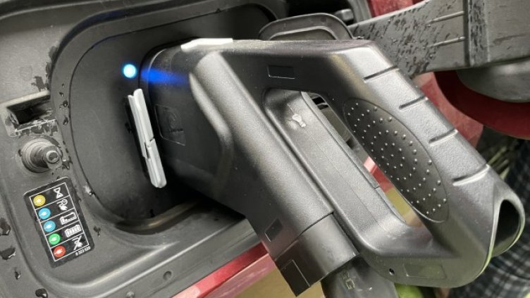 Снимка БГНЕС, архив