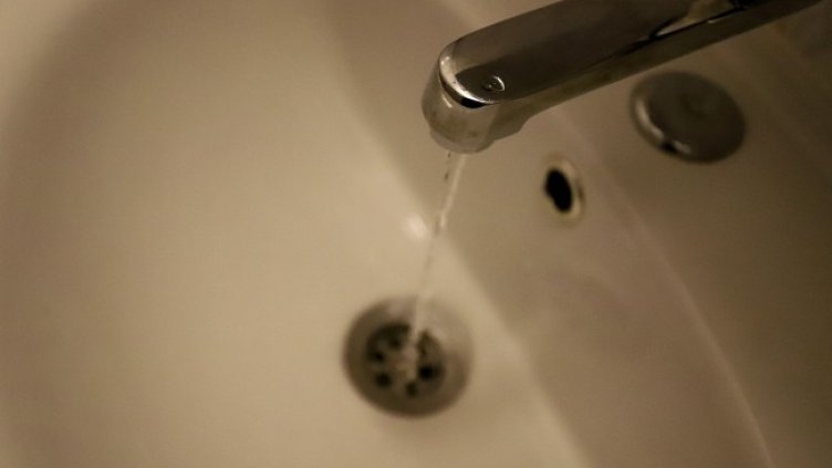 Снимка БГНЕС, архив