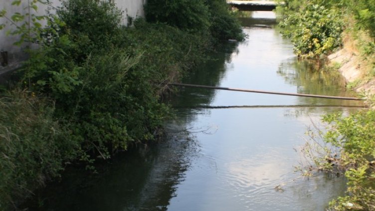Снимка: архив, БГНЕС