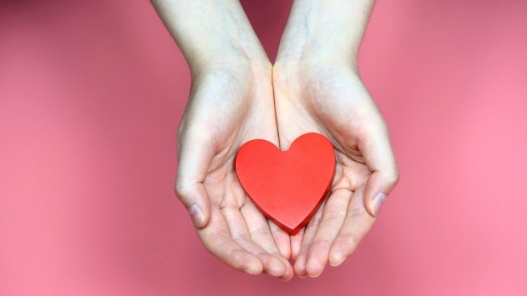 Снимка: Pixabay