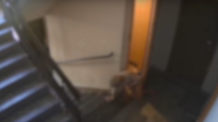 кадър: Нова тв