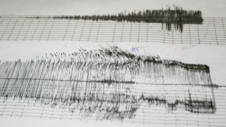 Снимка: архив, БГНЕС