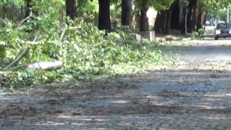 Снимка: архив, БГНЕС