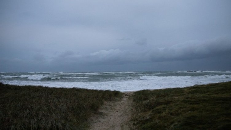 Снимка: архив, БГНЕС