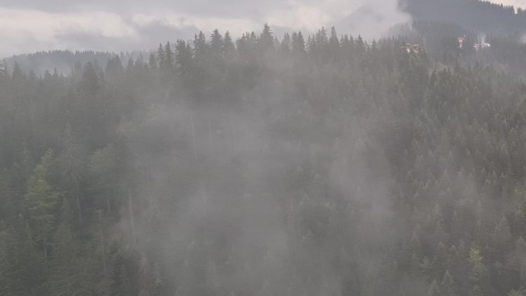 Снимка: архив, БГНЕС