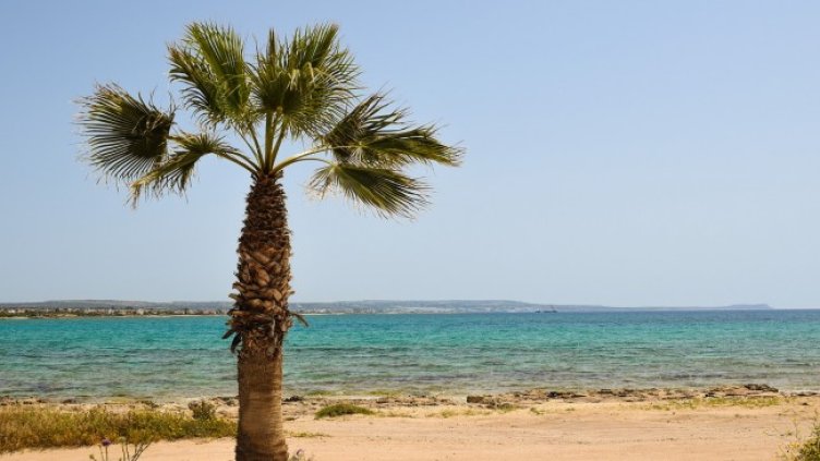 Снимка: Pixabay