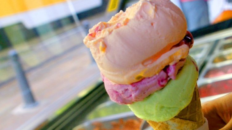 Снимка: архив, БГНЕС