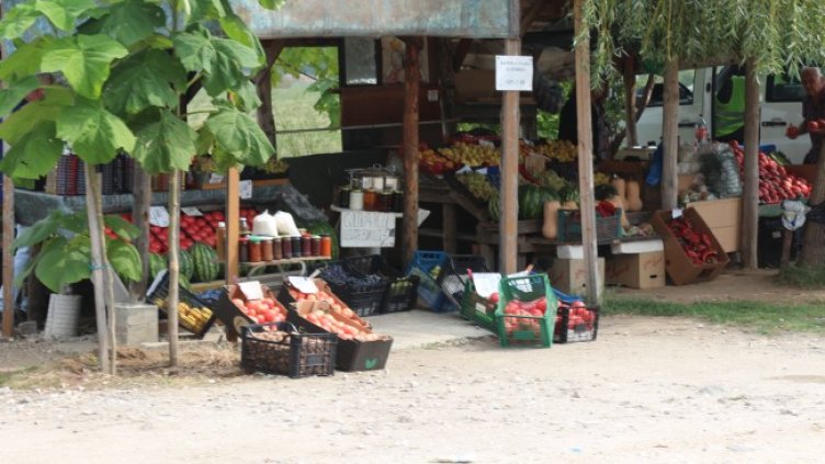 Снимка: архив, БГНЕС