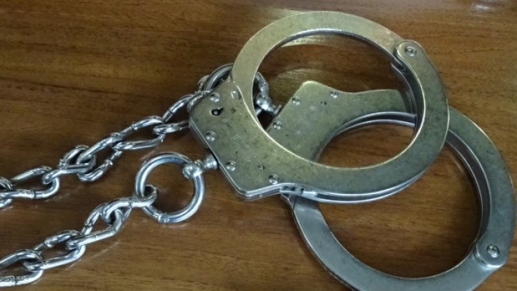 Снимка: архив, БГНЕС