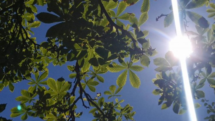 Снимка: архив, БГНЕС