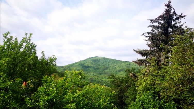 Снимка: архив, БГНЕС