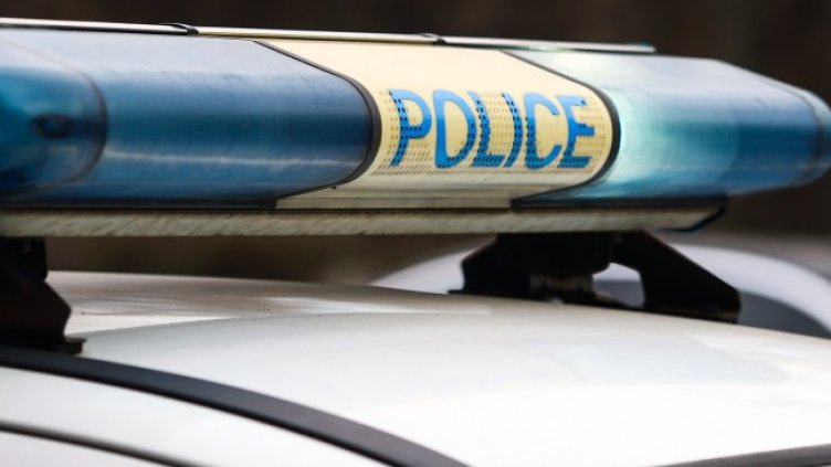 Снимка: архив, БГНЕС