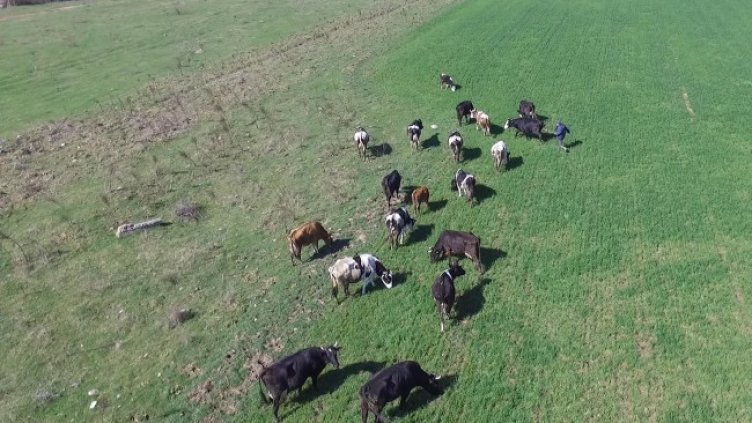 Снимка: архив, БГНЕС