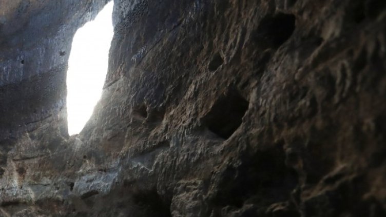 Снимка: архив, БГНЕС