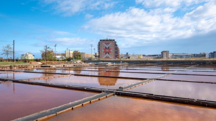 Снимка: Shutterstock