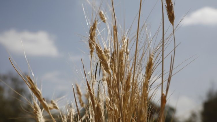 Снимка: Bloomberg TV Bulgaria