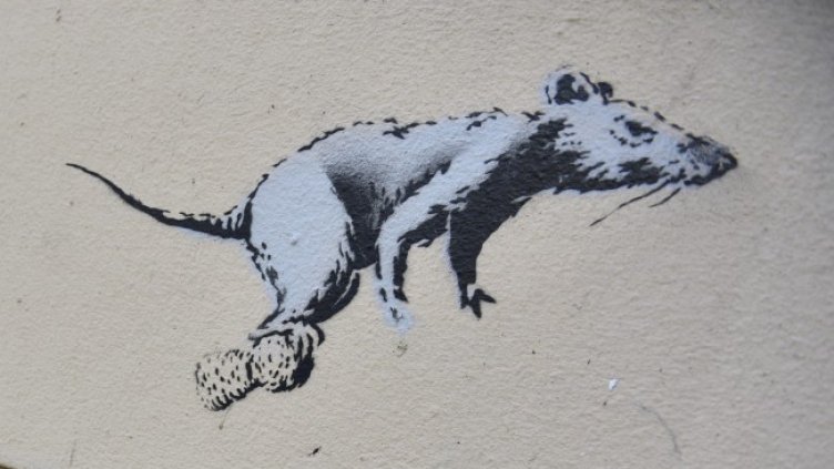 Снимка: архив, БГНЕС