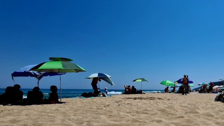 Снимка: архив, БГНЕС