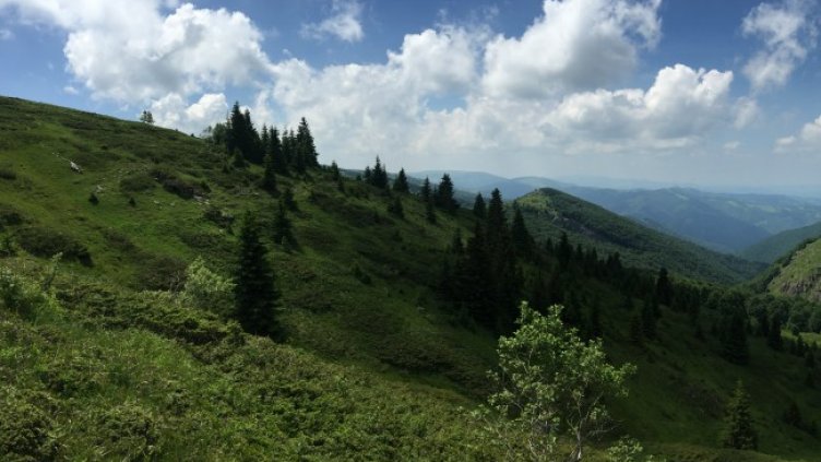 Снимка: архив, БГНЕС