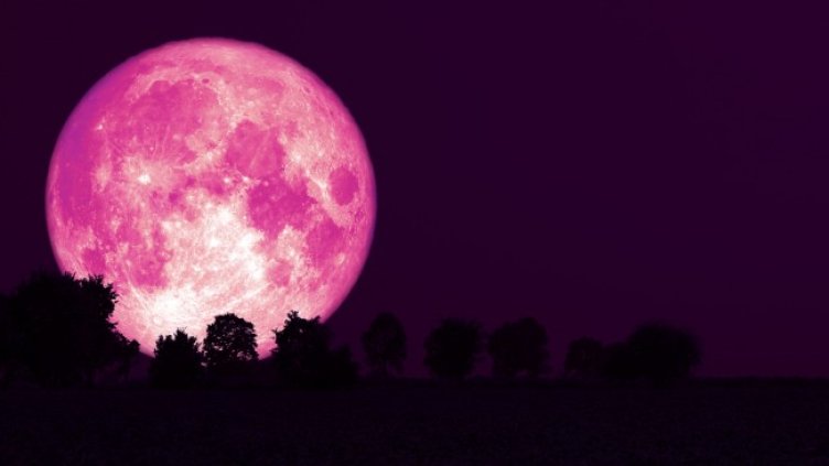 Снимка: iStock/Chayanan