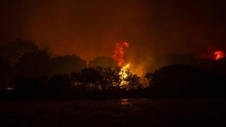 Снимка: архив, БГНЕС