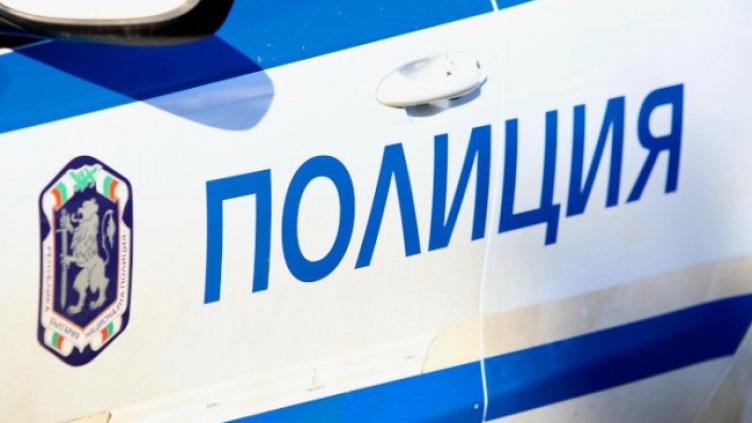 Снимка: архив, БГНЕС