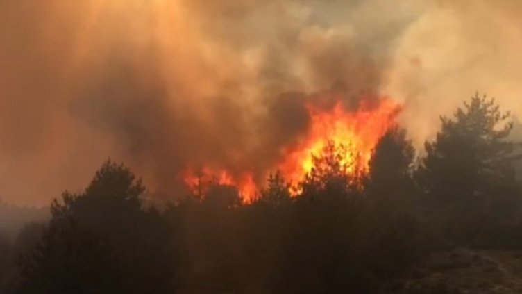 Снимка: БГНЕС