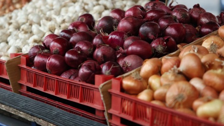 Снимка: БГНЕС, архив